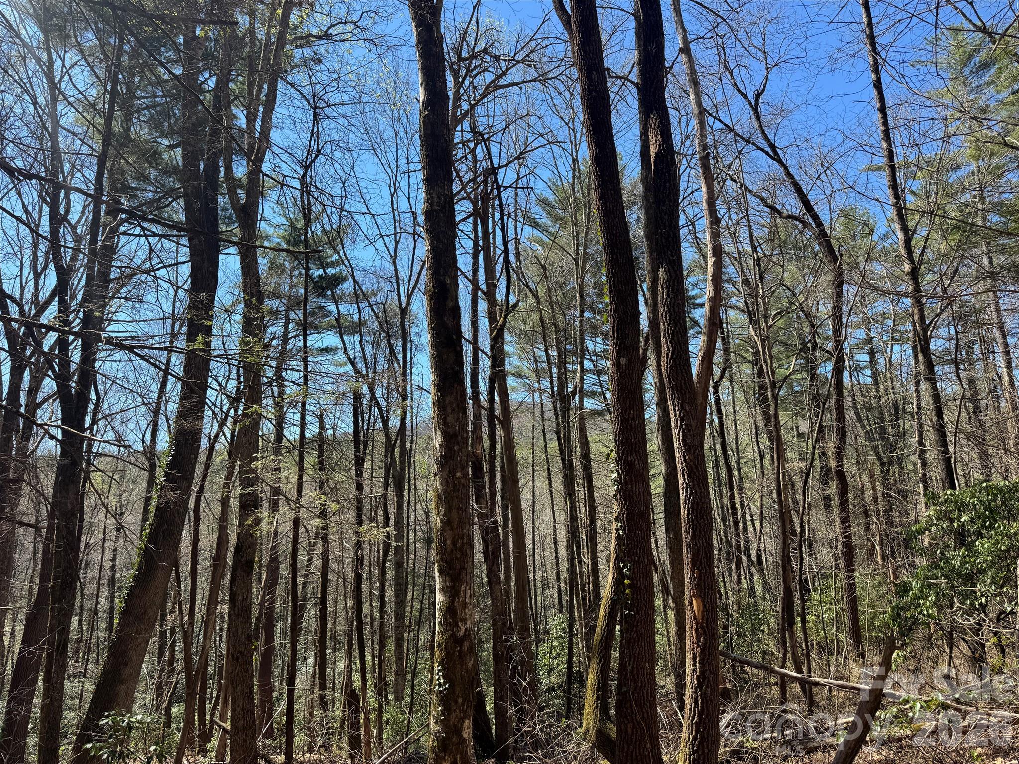 1 Bear Log Road Cashiers NC 28717