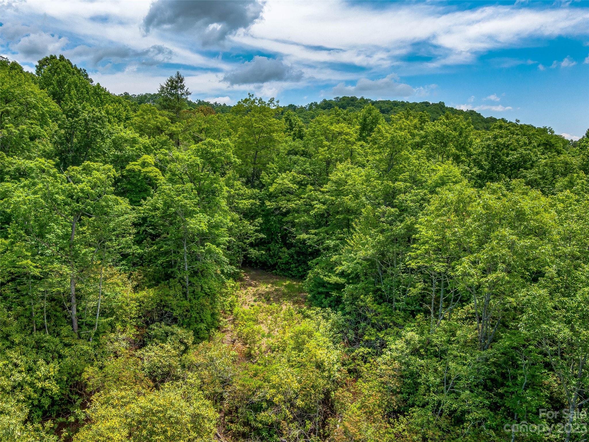 999 Big Hill Road Brevard NC 28712