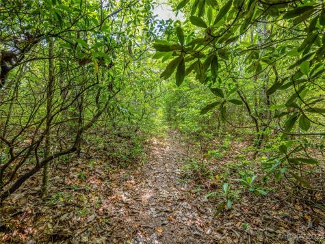 999 Big Hill Road Brevard NC 28712