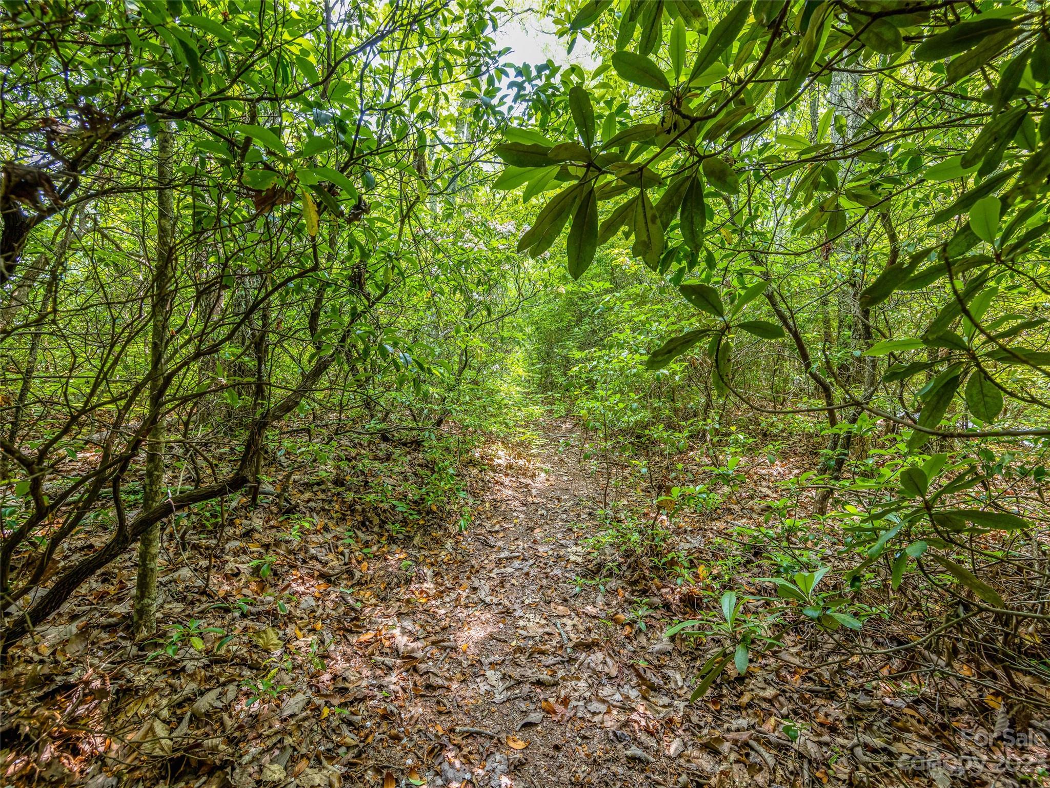 999 Big Hill Road Brevard NC 28712