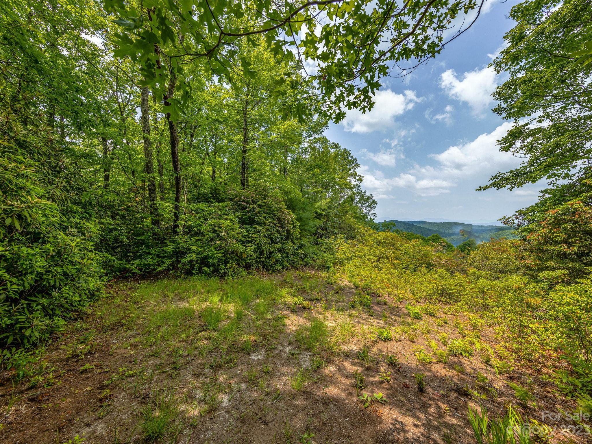 999 Big Hill Road Brevard NC 28712