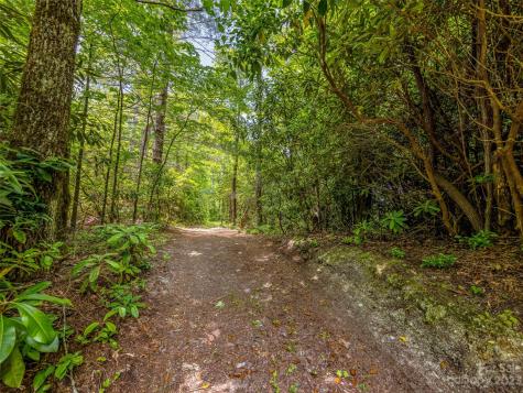 999 Big Hill Road Brevard NC 28712