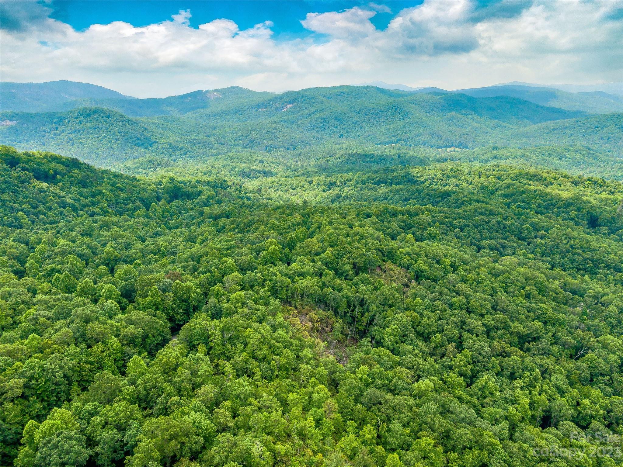 999 Big Hill Road Brevard NC 28712