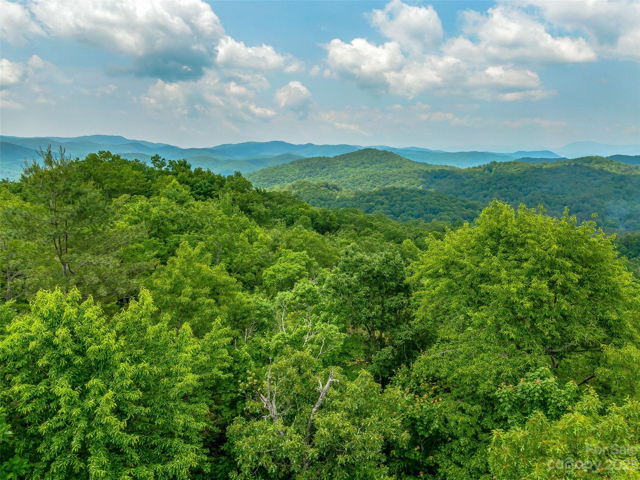 999 Big Hill Road Brevard NC 28712