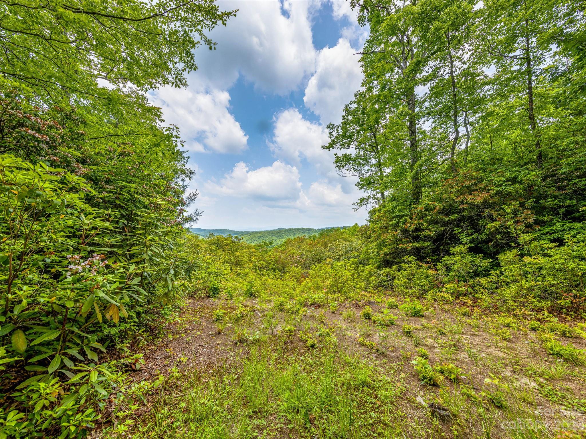 999 Big Hill Road Brevard NC 28712