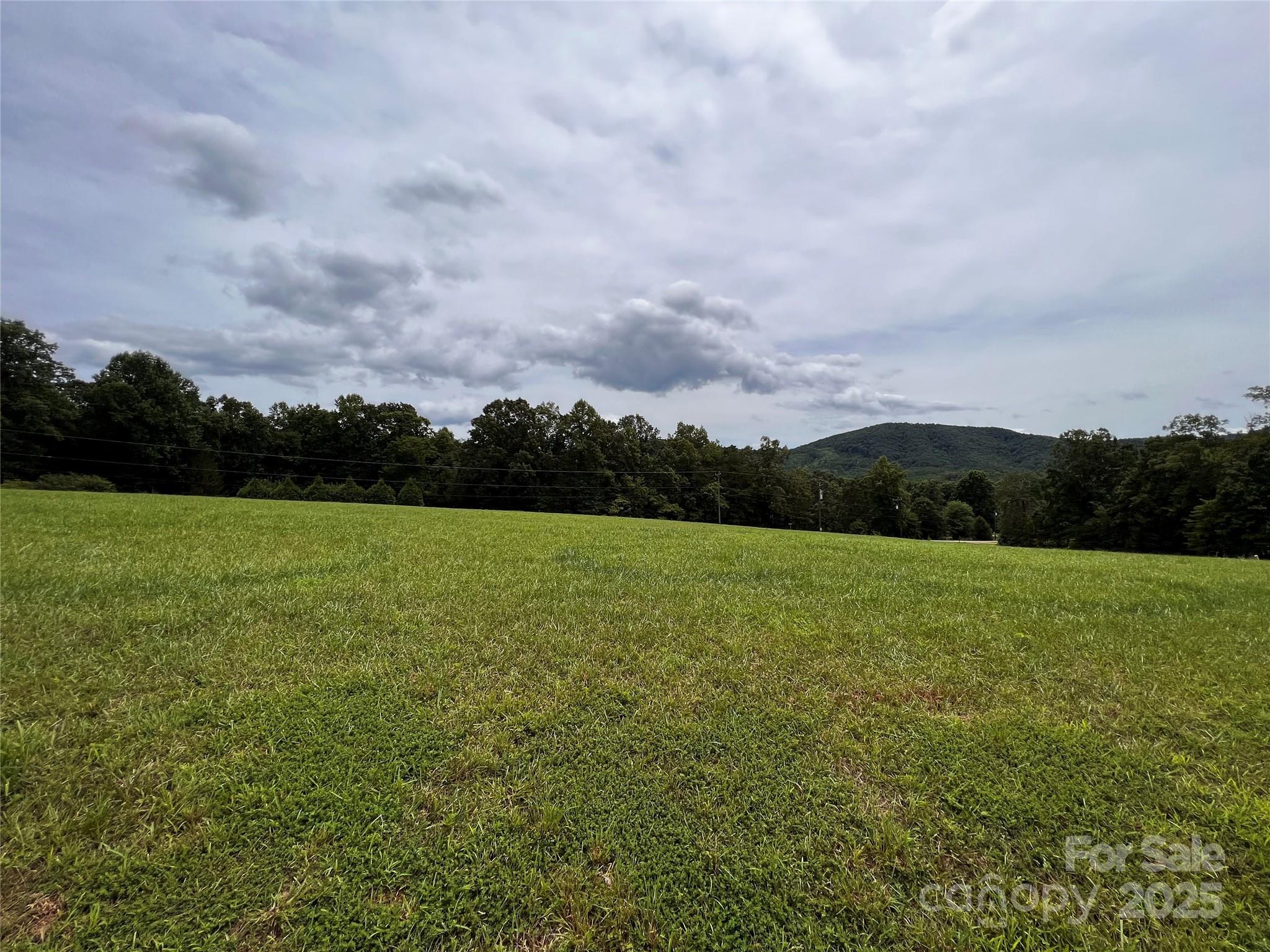 81 Grace Estates Drive Marion NC 28752