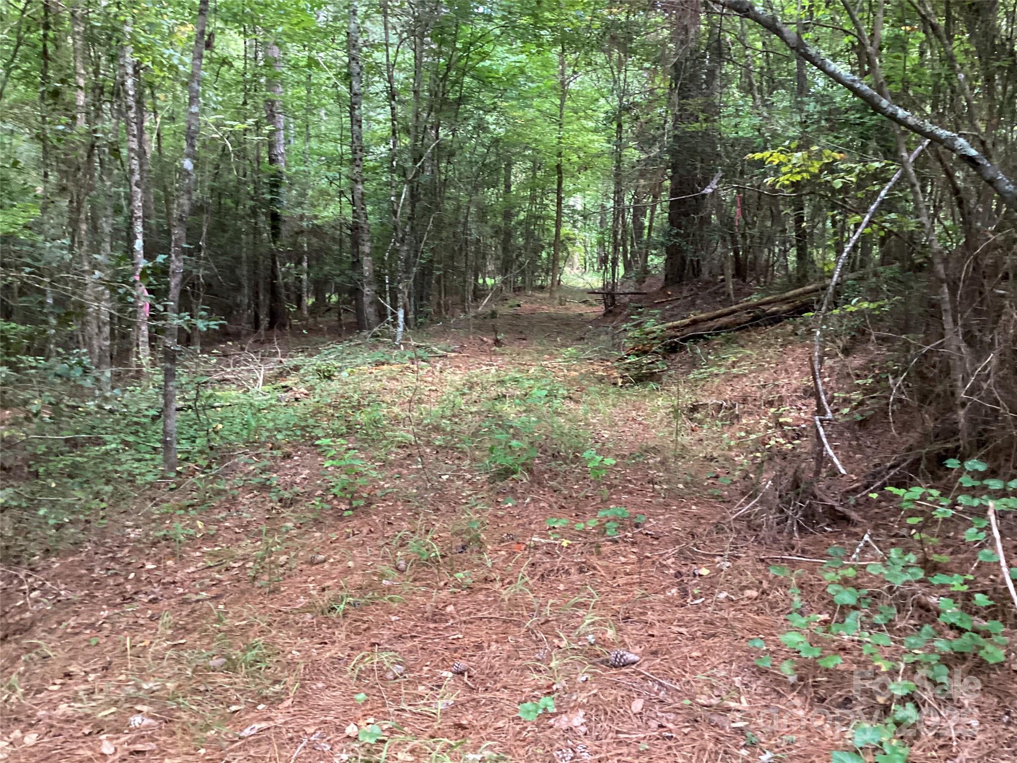 00 Scenic Lane Granite Falls NC 28630