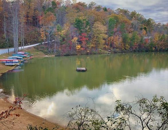 0 Woodcock Avenue Lake Lure NC 28746