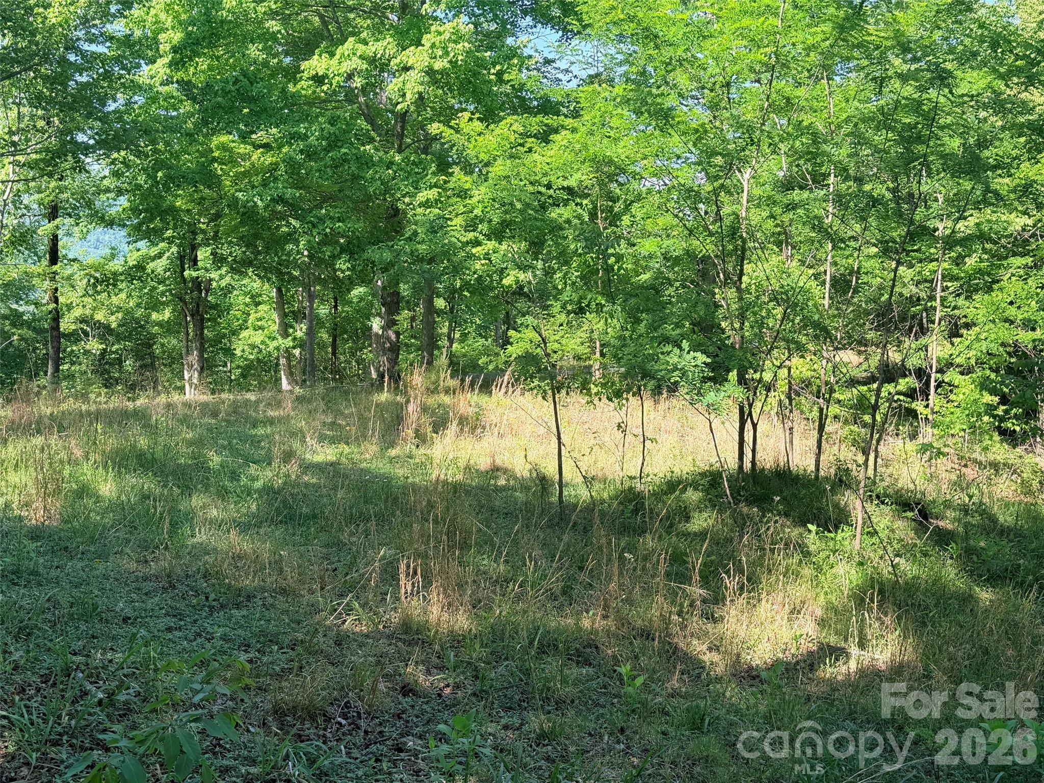 Lot 8 High Rock Ridge Lake Lure NC 28746