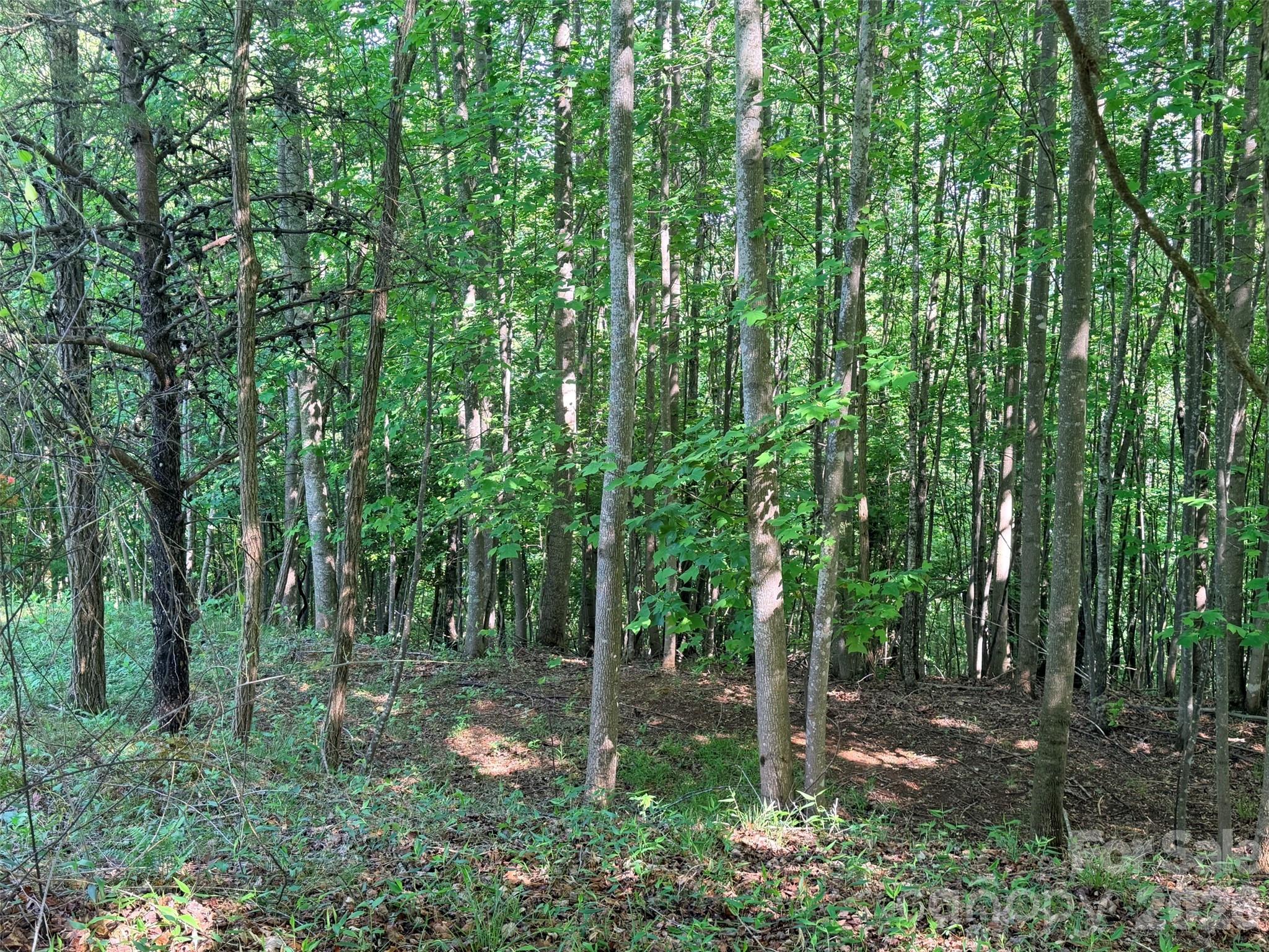 Lot 8 High Rock Ridge Lake Lure NC 28746