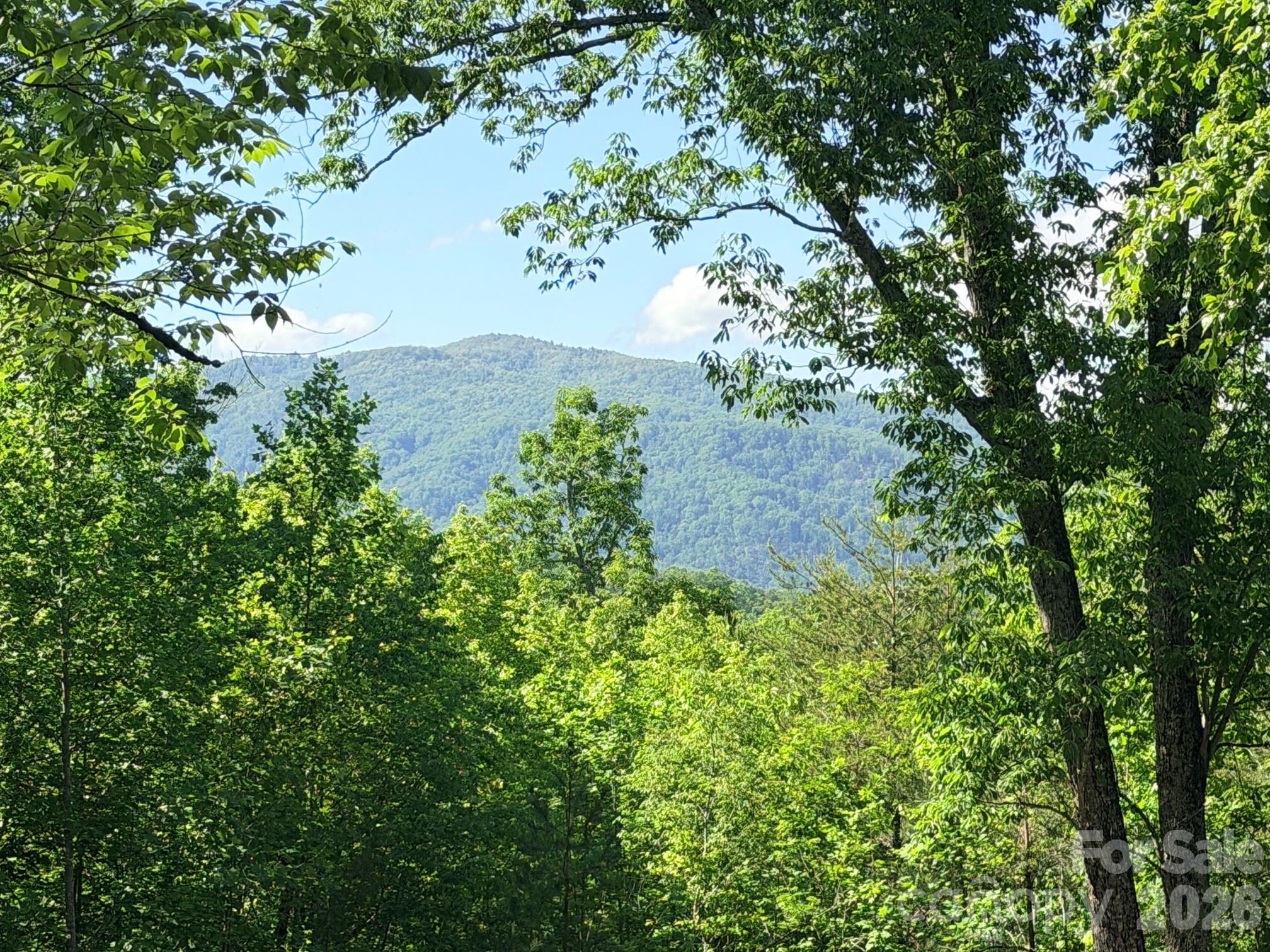 Lot 8 High Rock Ridge Lake Lure NC 28746