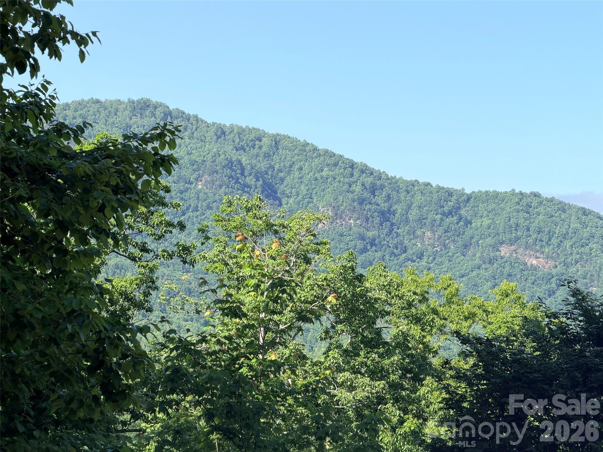 Lot 8 High Rock Ridge Lake Lure NC 28746