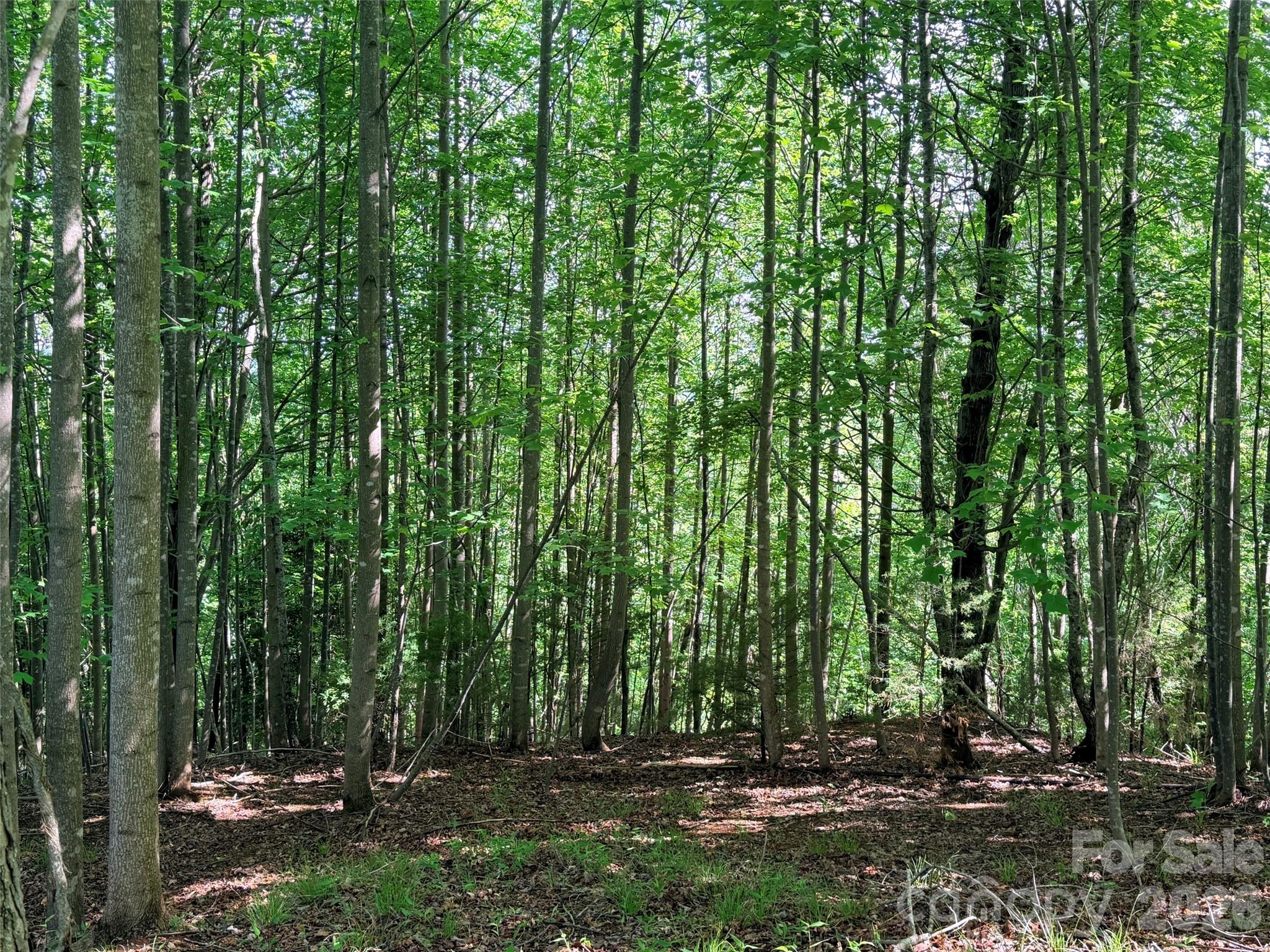 Lot 8 High Rock Ridge Lake Lure NC 28746