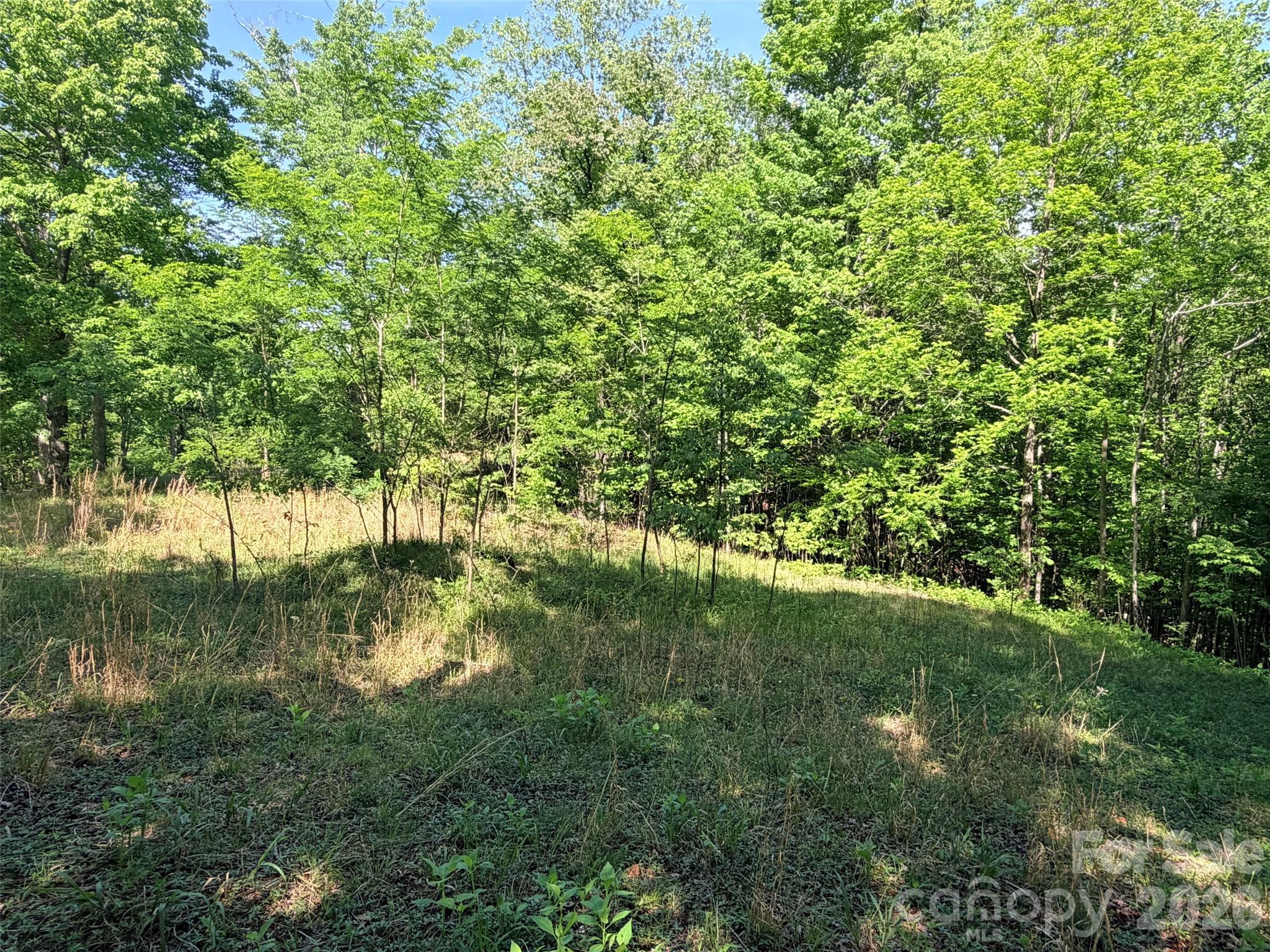 Lot 8 High Rock Ridge Lake Lure NC 28746