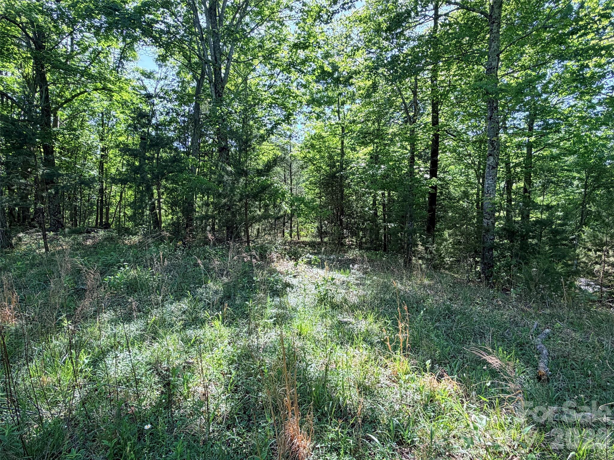 Lot 8 High Rock Ridge Lake Lure NC 28746