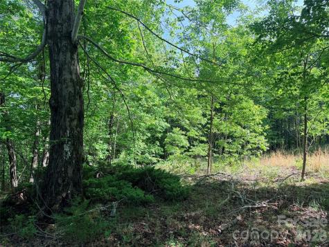 Lot 8 High Rock Ridge Lake Lure NC 28746