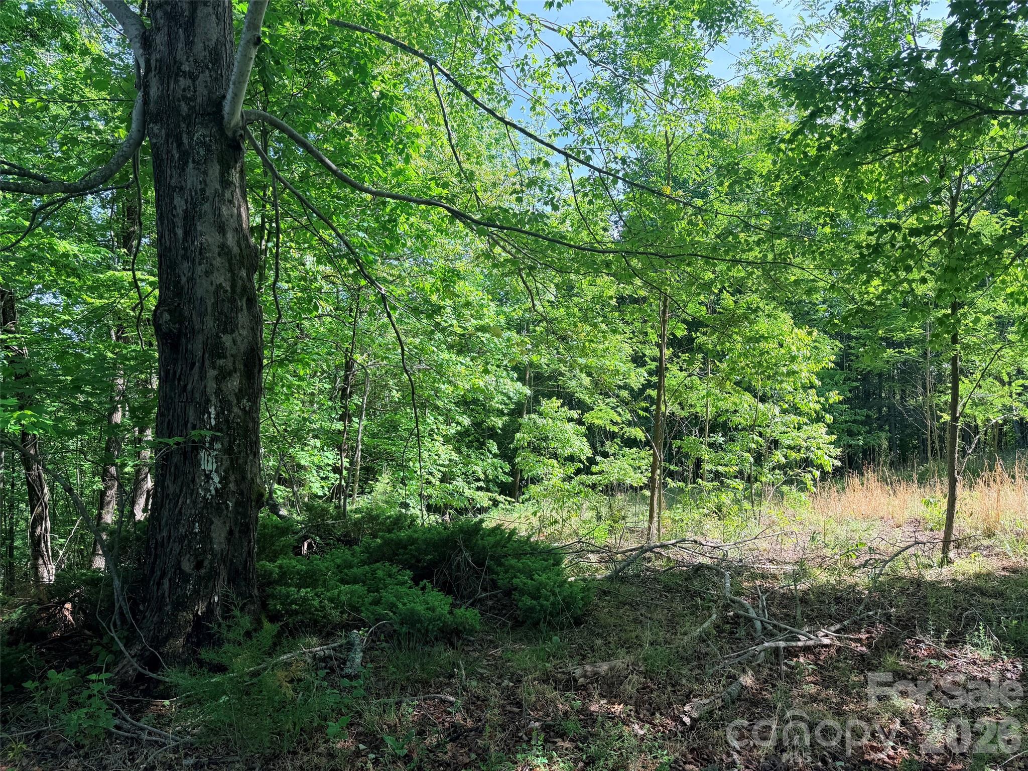 Lot 8 High Rock Ridge Lake Lure NC 28746