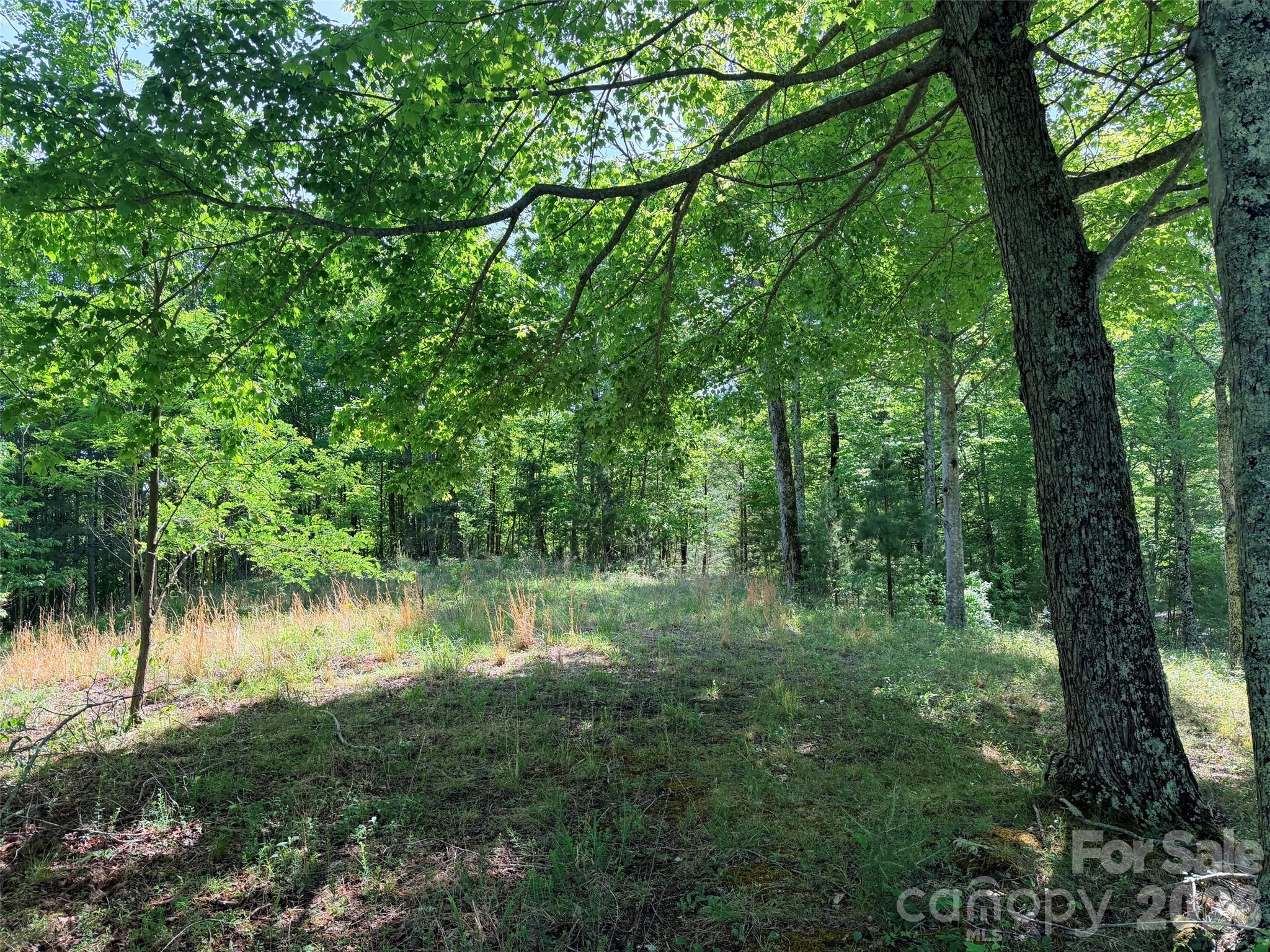 Lot 8 High Rock Ridge Lake Lure NC 28746