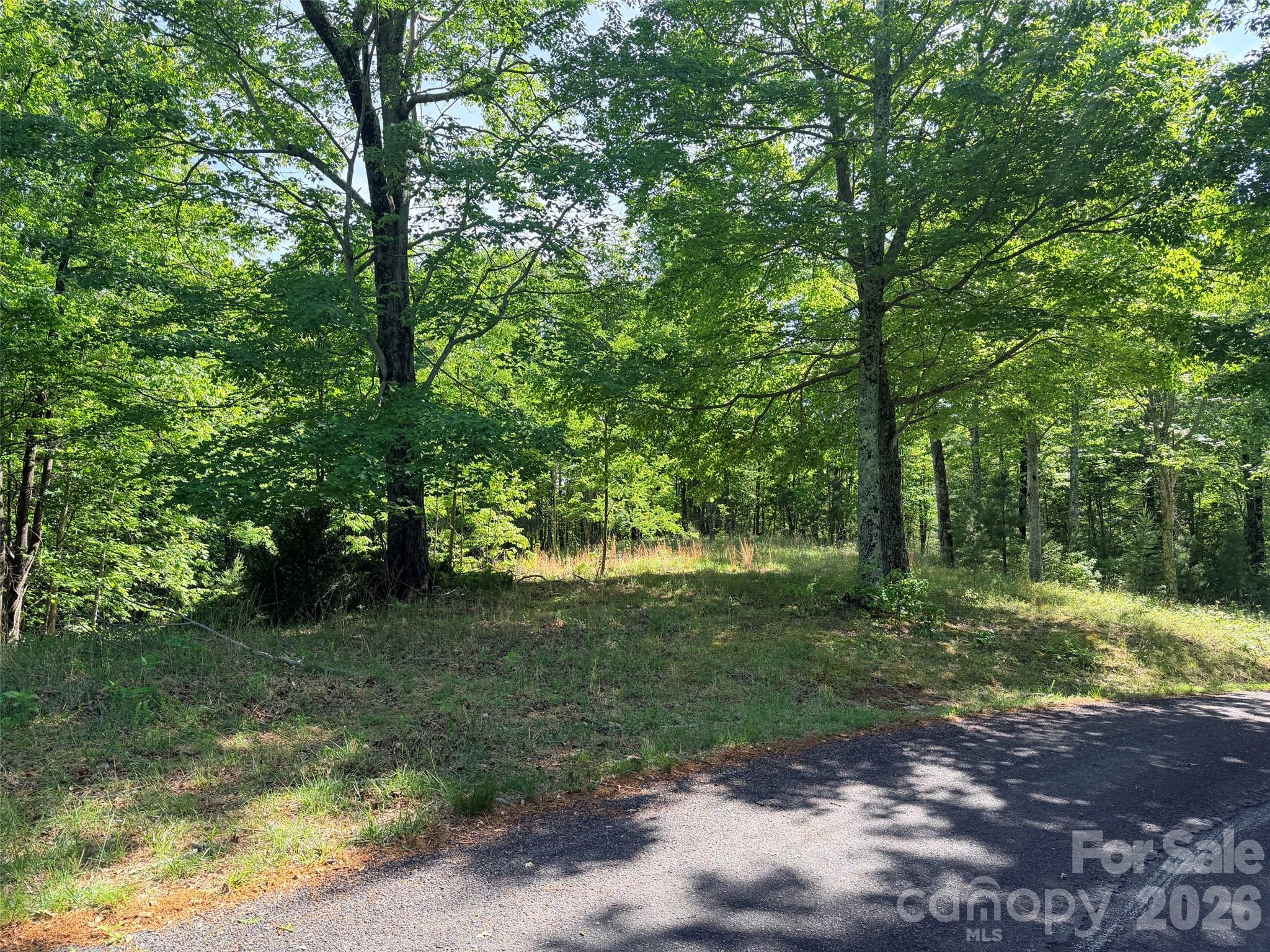 Lot 8 High Rock Ridge Lake Lure NC 28746