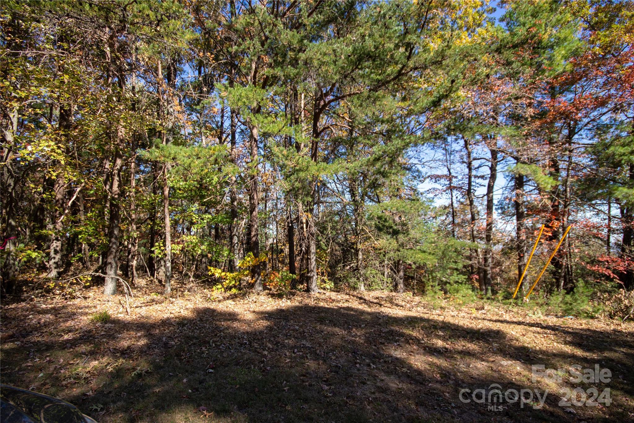 22 Hackberry Road Connelly Springs NC 28612