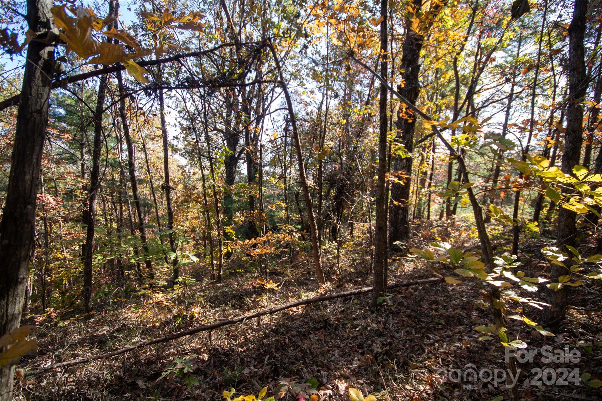 22 Hackberry Road Connelly Springs NC 28612