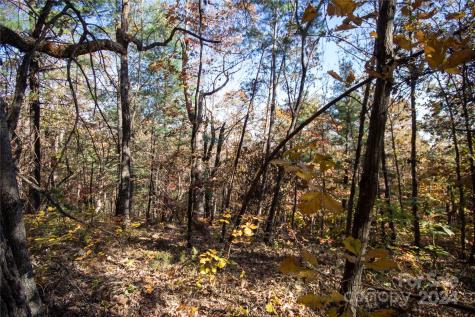 22 Hackberry Road Connelly Springs NC 28612