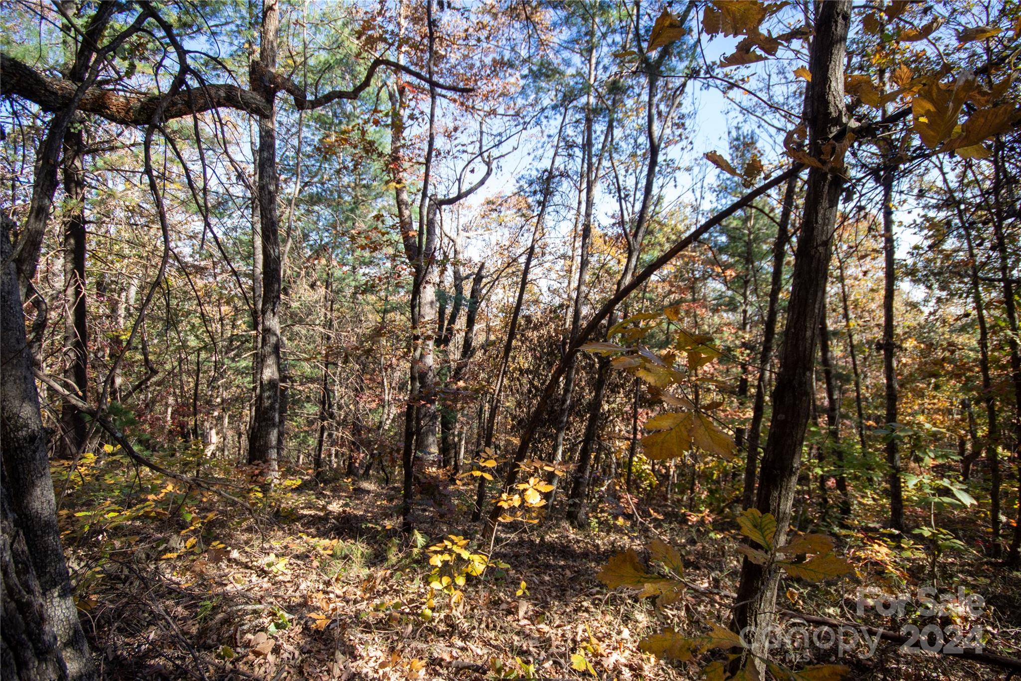 22 Hackberry Road Connelly Springs NC 28612