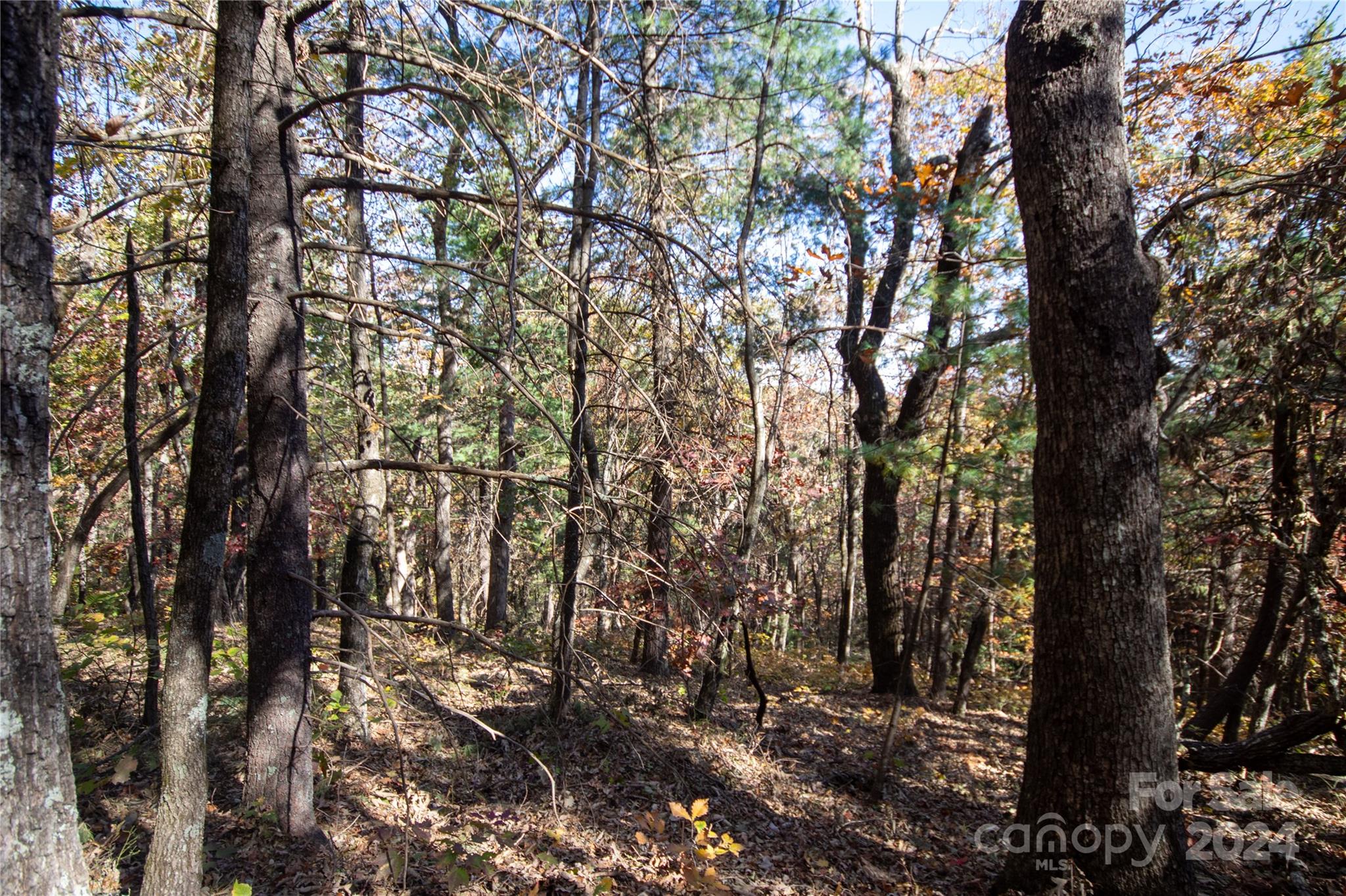 22 Hackberry Road Connelly Springs NC 28612