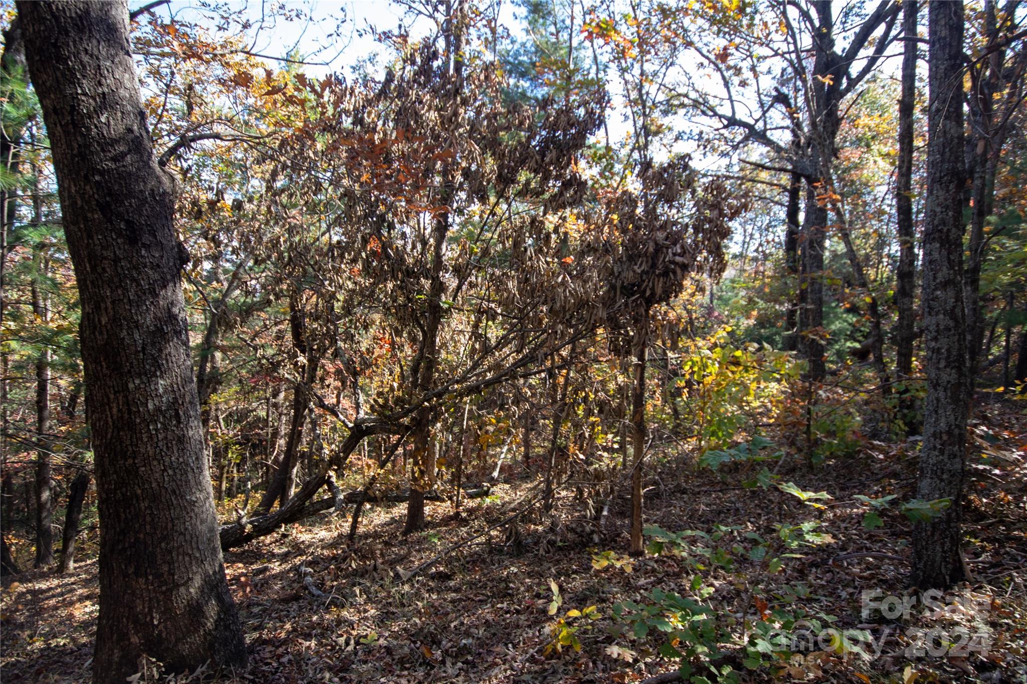 22 Hackberry Road Connelly Springs NC 28612