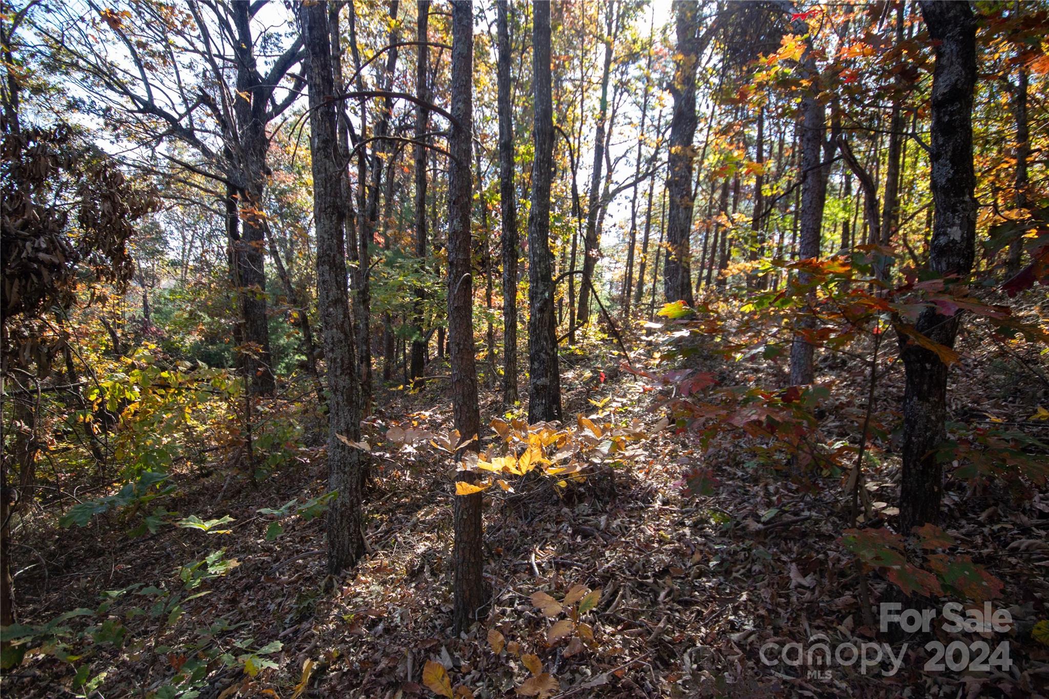 22 Hackberry Road Connelly Springs NC 28612