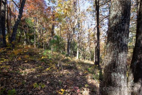 22 Hackberry Road Connelly Springs NC 28612