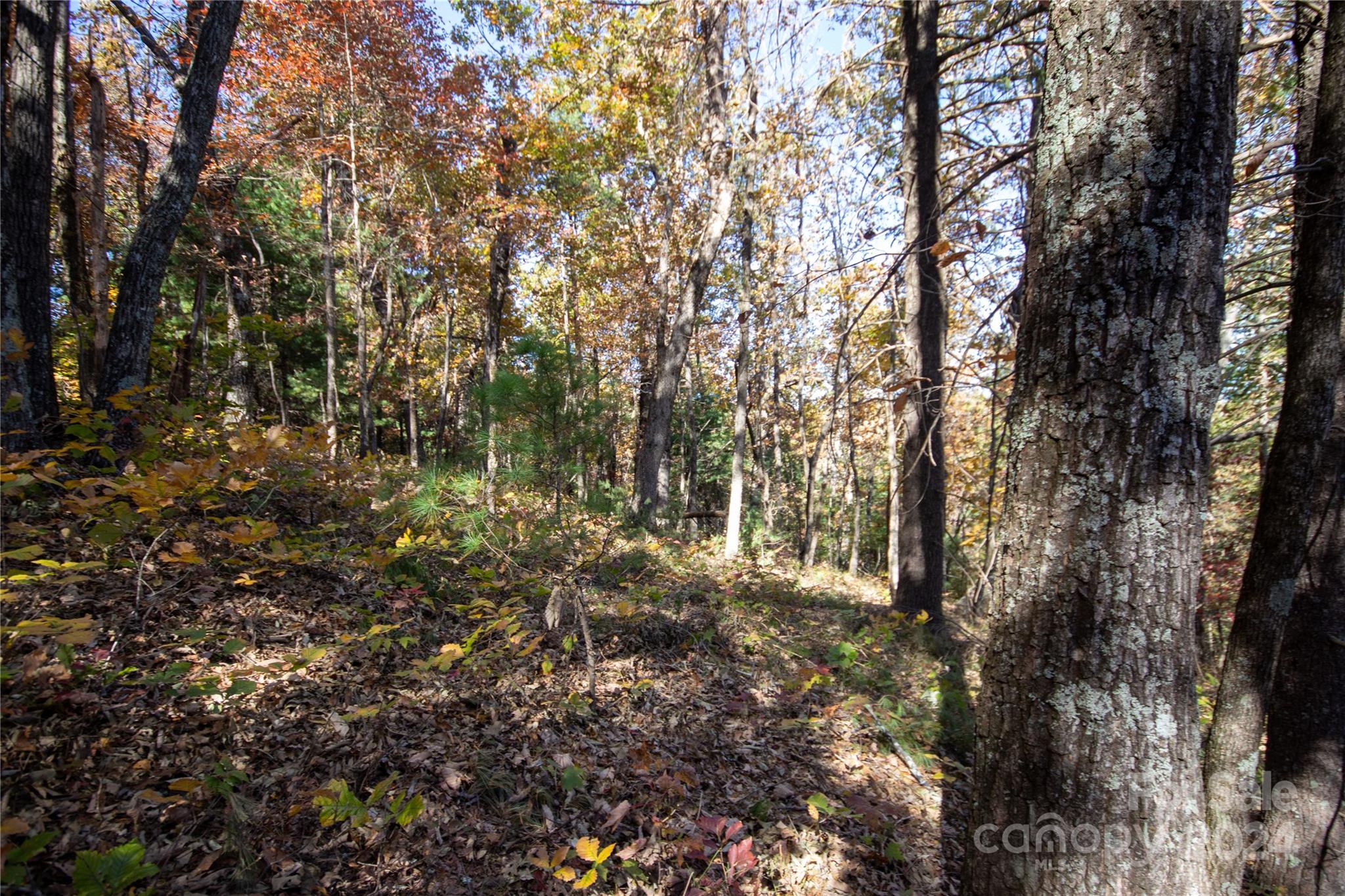 22 Hackberry Road Connelly Springs NC 28612