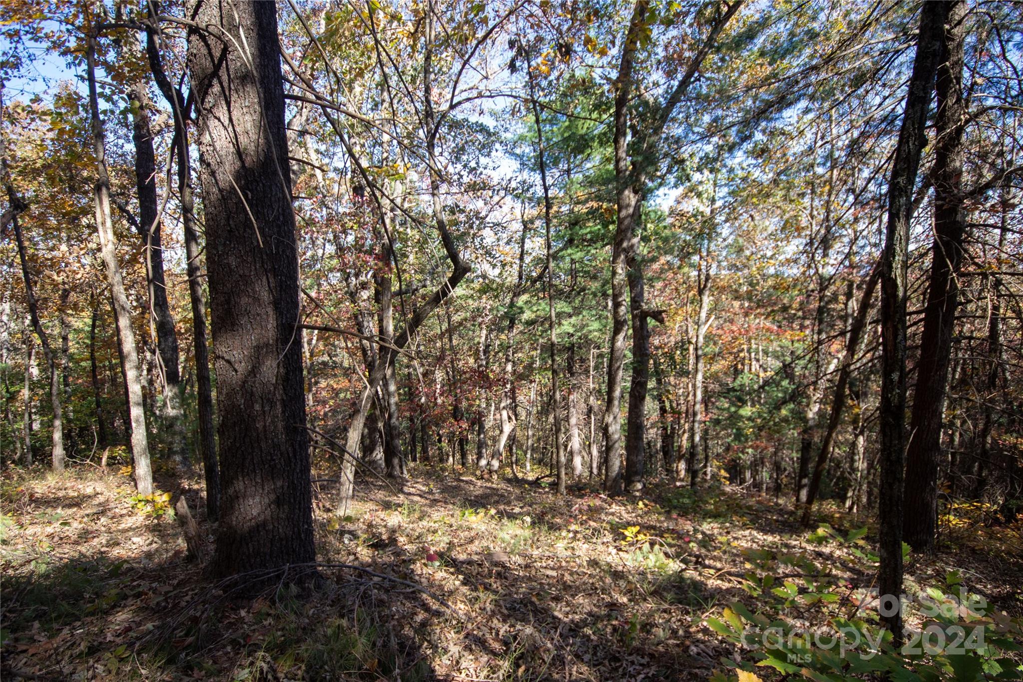 22 Hackberry Road Connelly Springs NC 28612