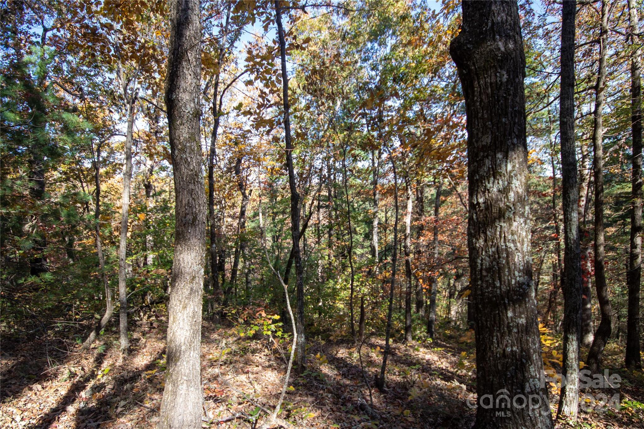 22 Hackberry Road Connelly Springs NC 28612