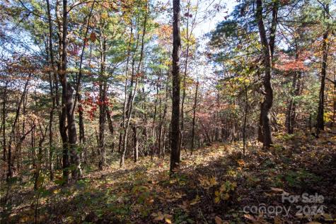 22 Hackberry Road Connelly Springs NC 28612