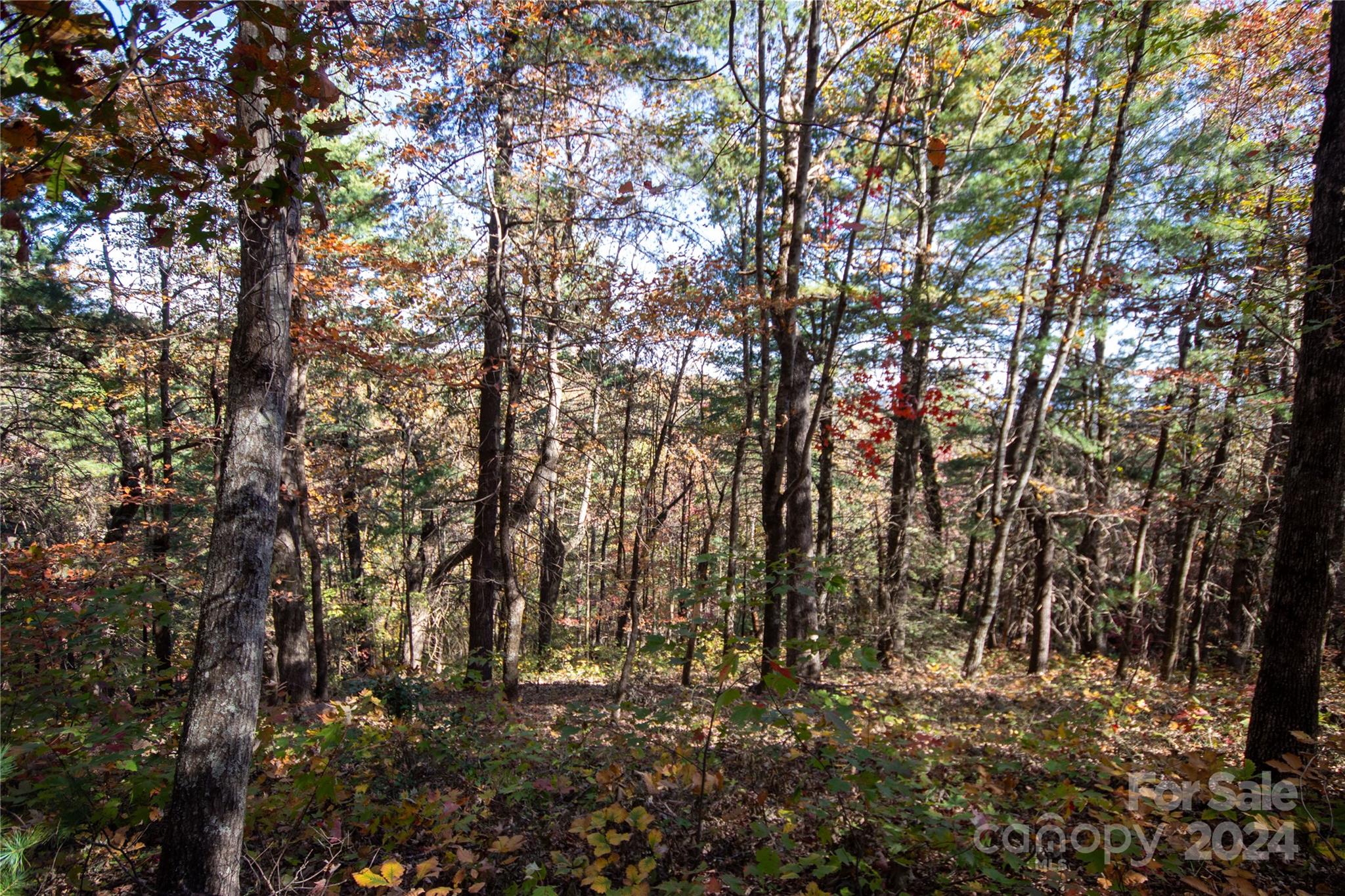 22 Hackberry Road Connelly Springs NC 28612