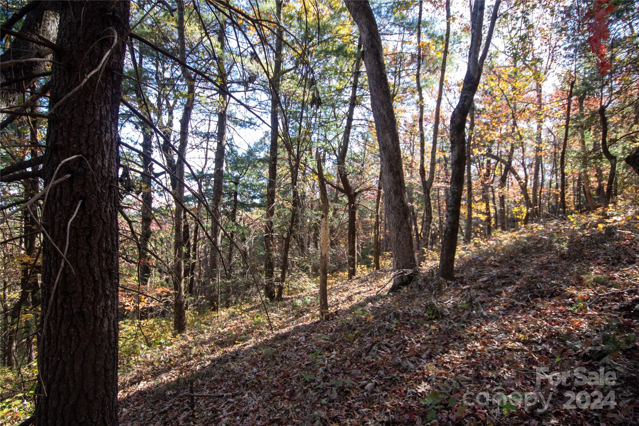 22 Hackberry Road Connelly Springs NC 28612