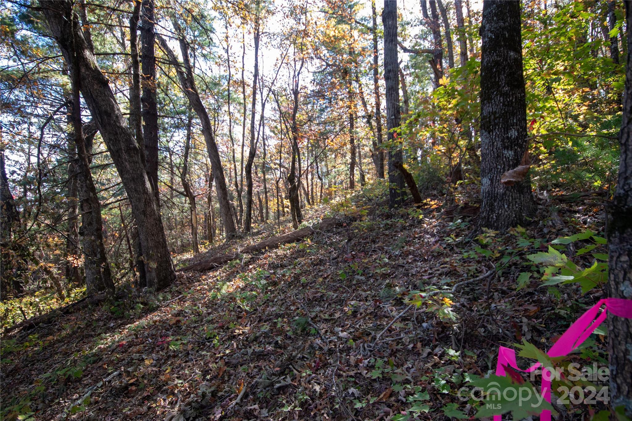 22 Hackberry Road Connelly Springs NC 28612