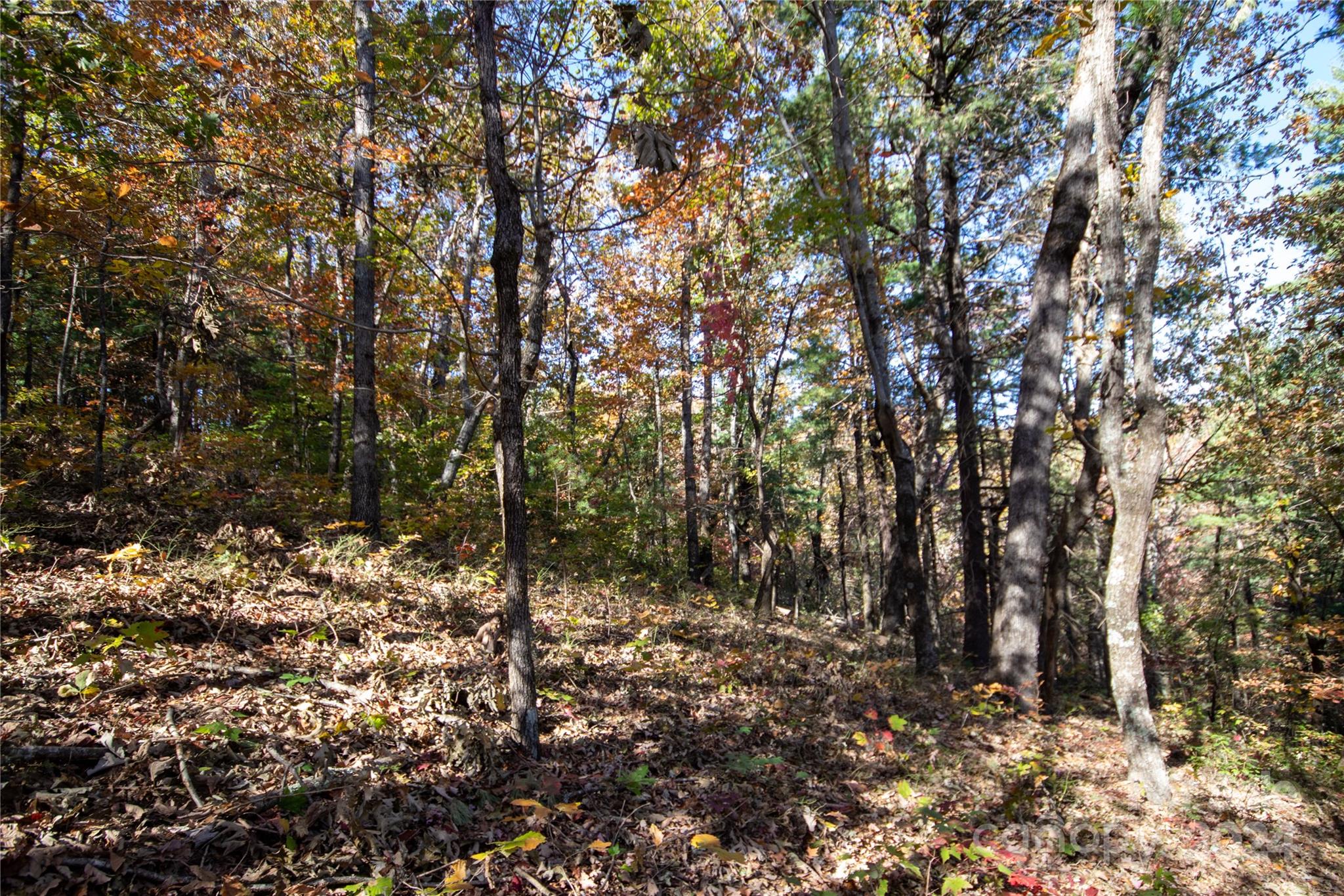 22 Hackberry Road Connelly Springs NC 28612