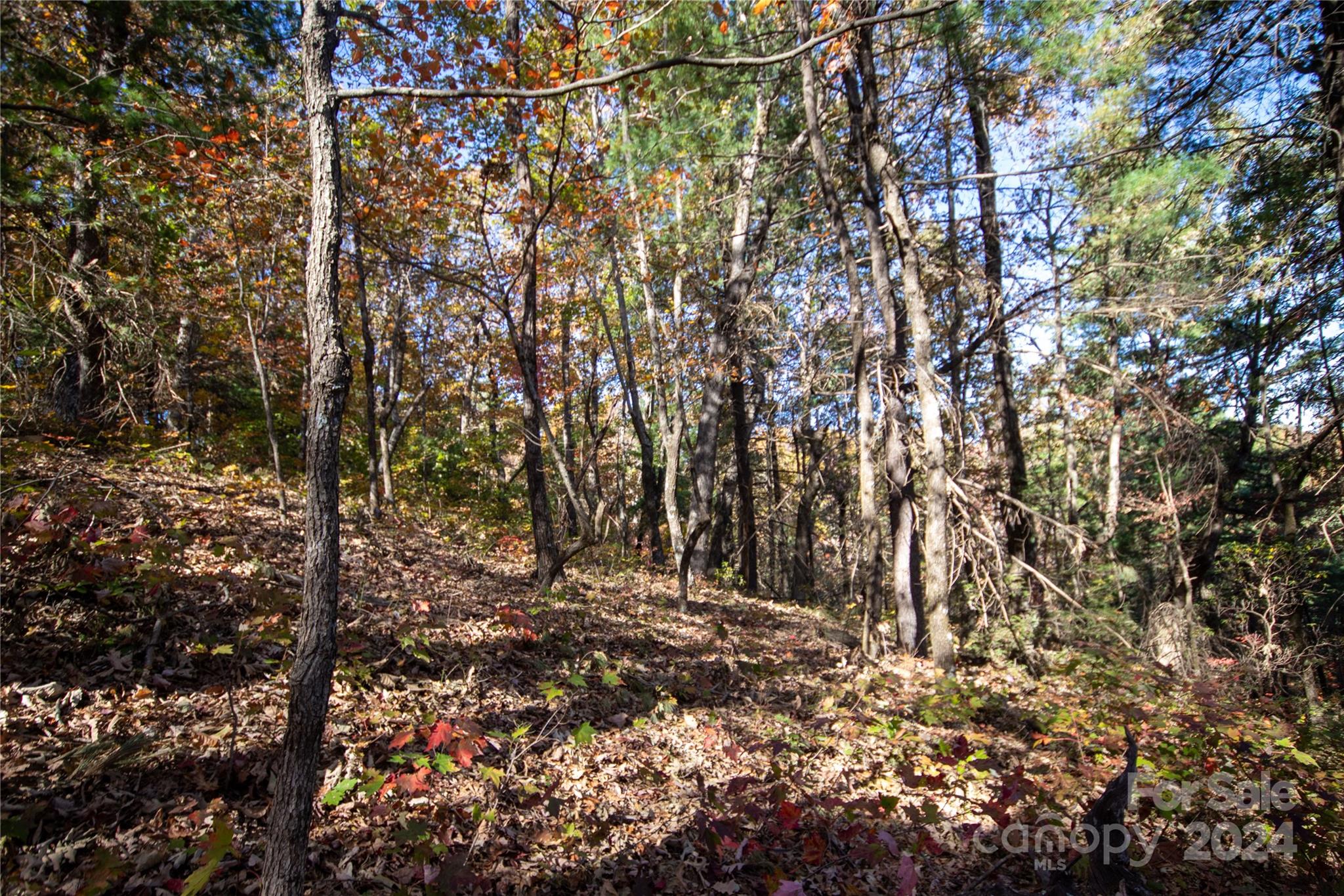 22 Hackberry Road Connelly Springs NC 28612