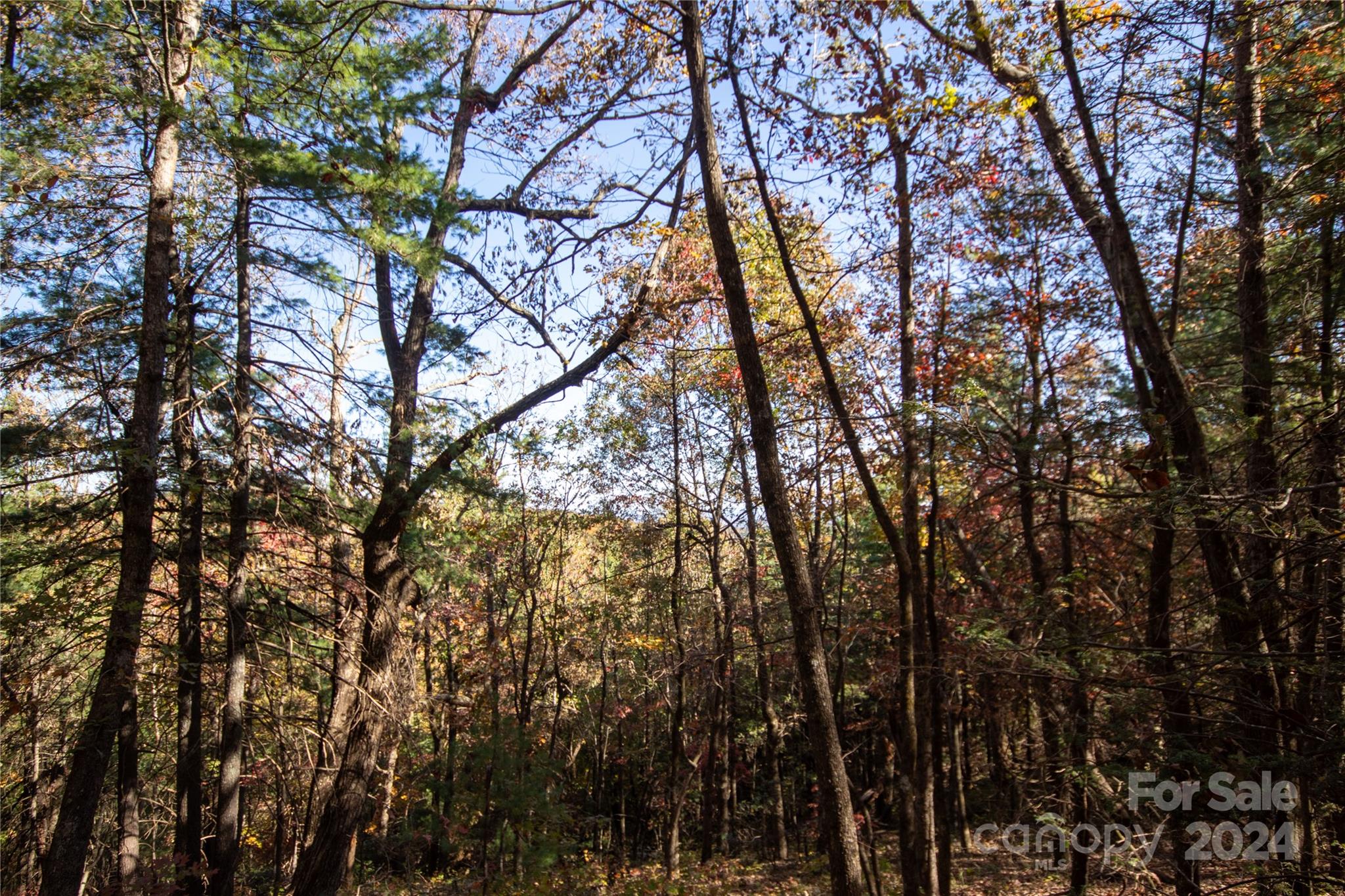 22 Hackberry Road Connelly Springs NC 28612