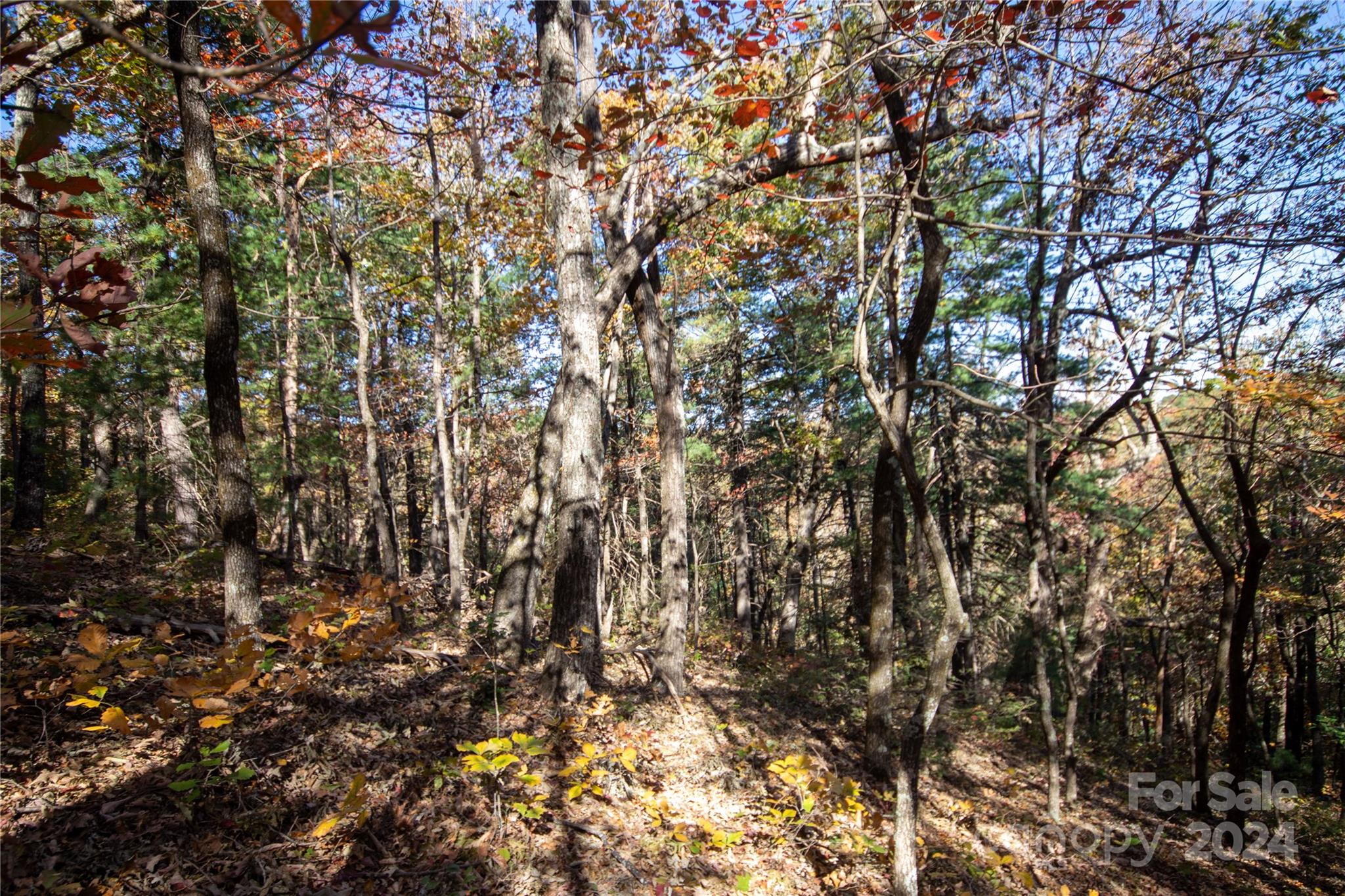 22 Hackberry Road Connelly Springs NC 28612