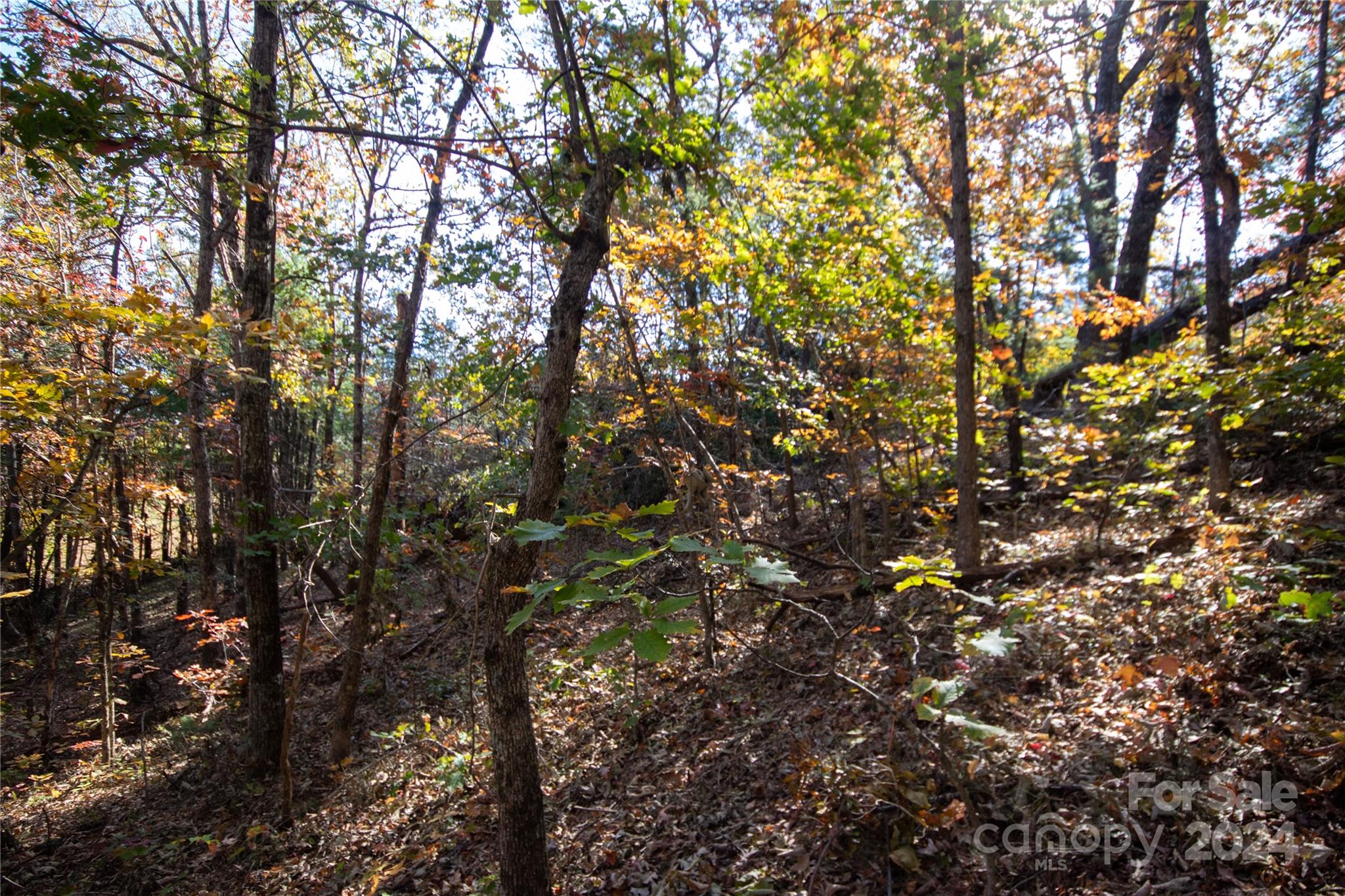 22 Hackberry Road Connelly Springs NC 28612