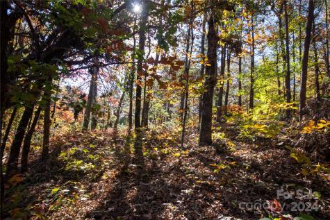 22 Hackberry Road Connelly Springs NC 28612