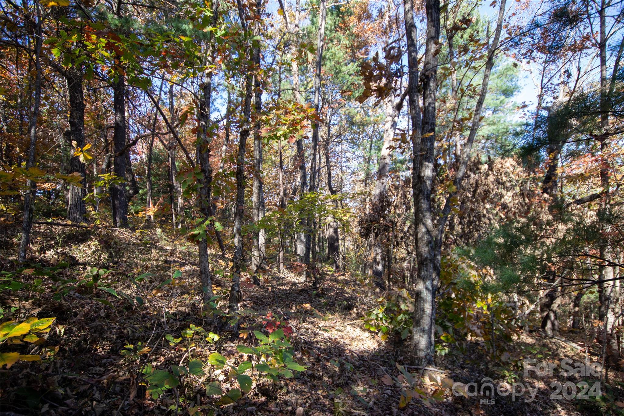 22 Hackberry Road Connelly Springs NC 28612