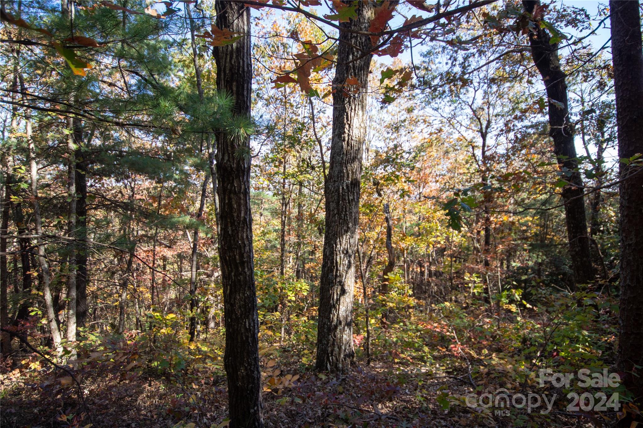 22 Hackberry Road Connelly Springs NC 28612