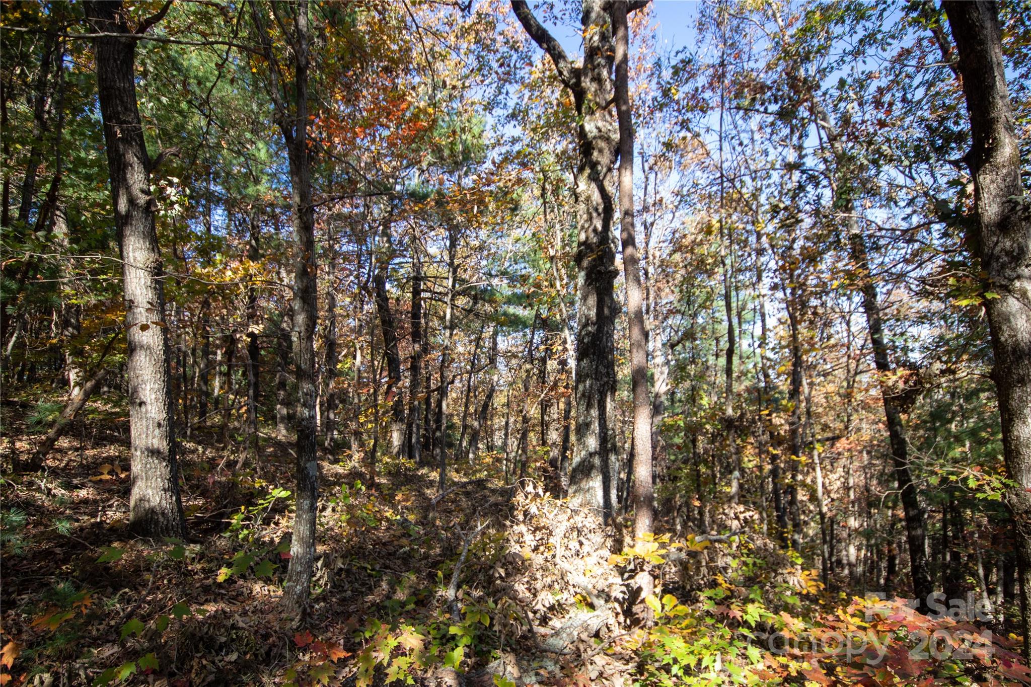 22 Hackberry Road Connelly Springs NC 28612