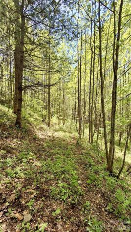 0000 Cold Mountain Road Highlands NC 28741