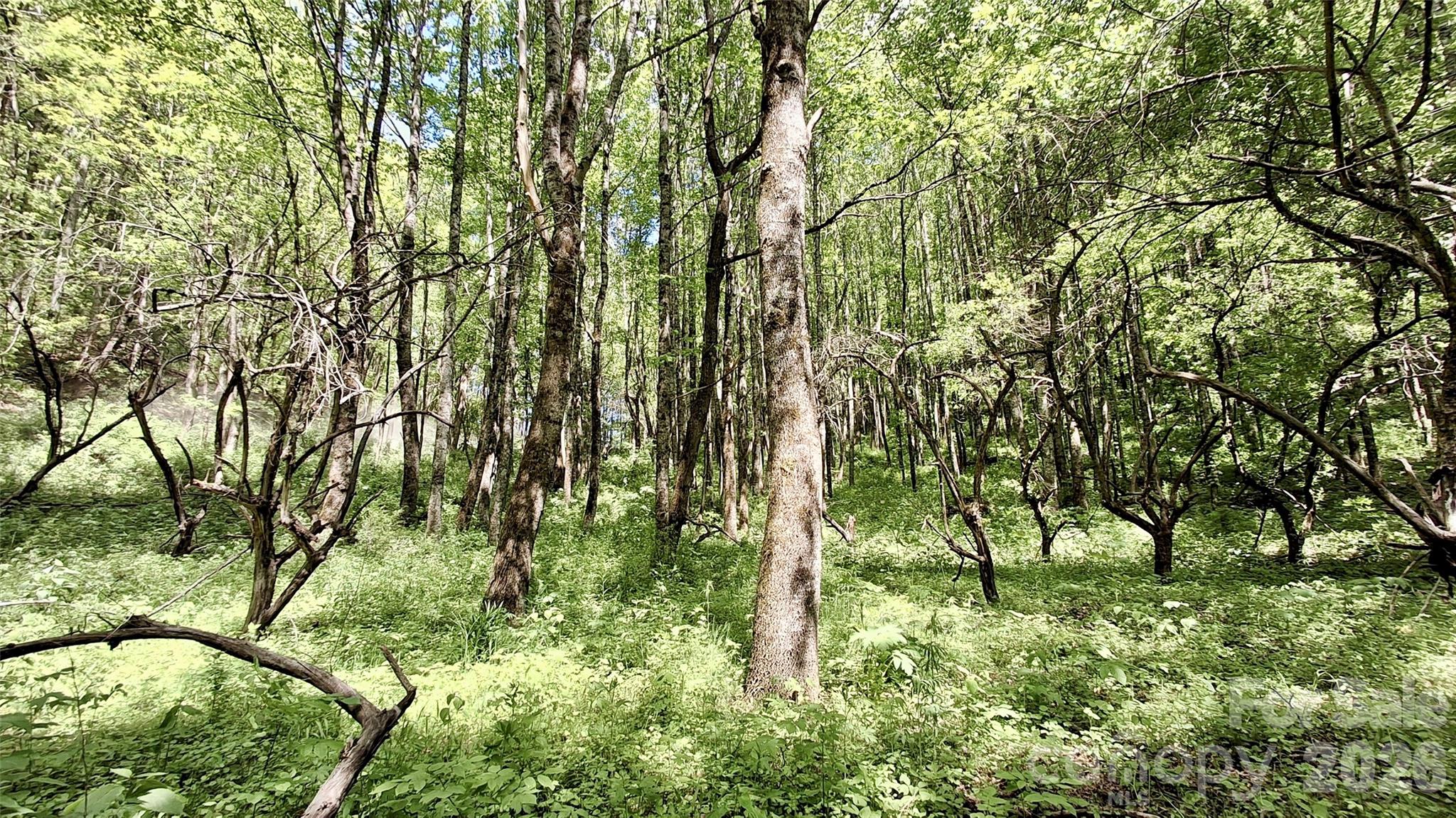 0000 Cold Mountain Road Highlands NC 28741
