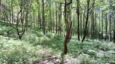 0000 Cold Mountain Road Highlands NC 28741